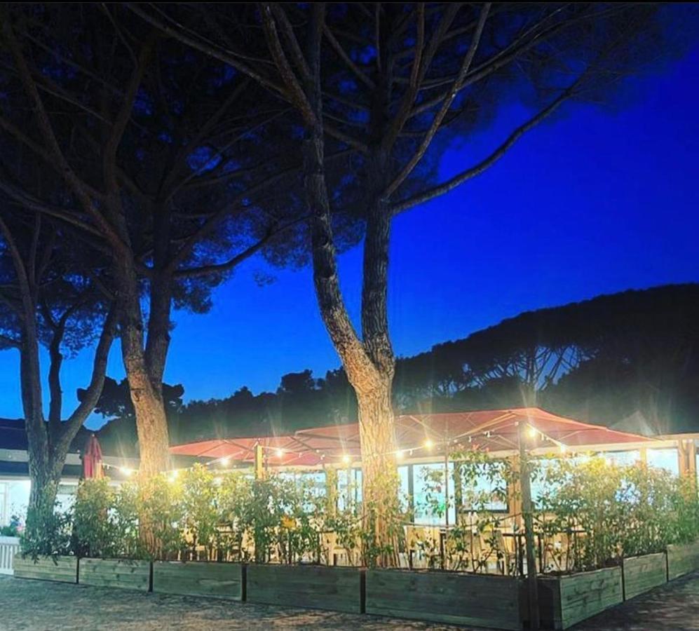 Del * Marina Di Bibbona