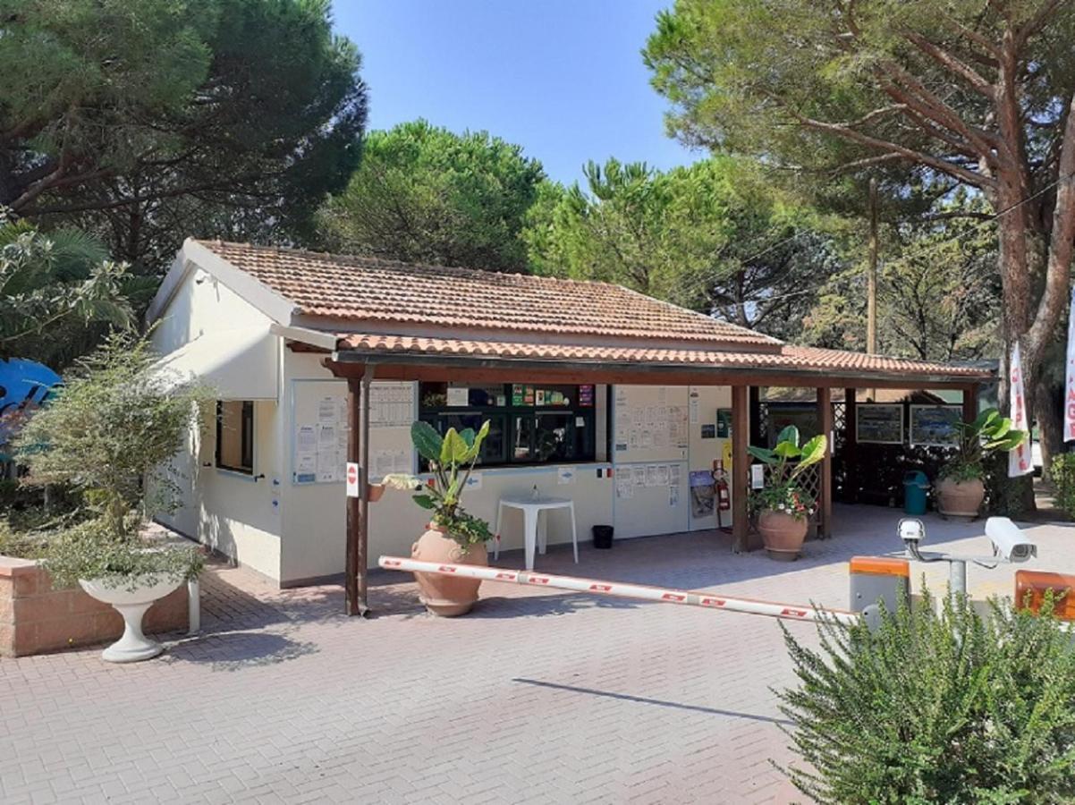 Del Apartment Marina Di Bibbona